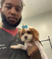 Groomer